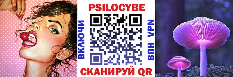 mega ONION  купить наркотик  Щигры  Псилоцибиновые грибы Psilocybine cubensis 