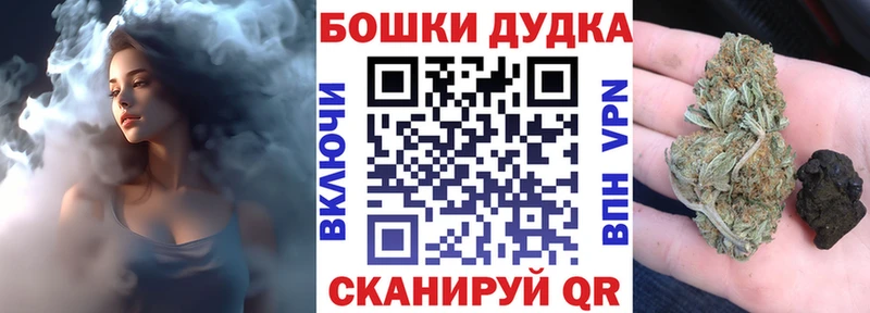 mega как войти  купить закладку  Щигры  Каннабис сатива 